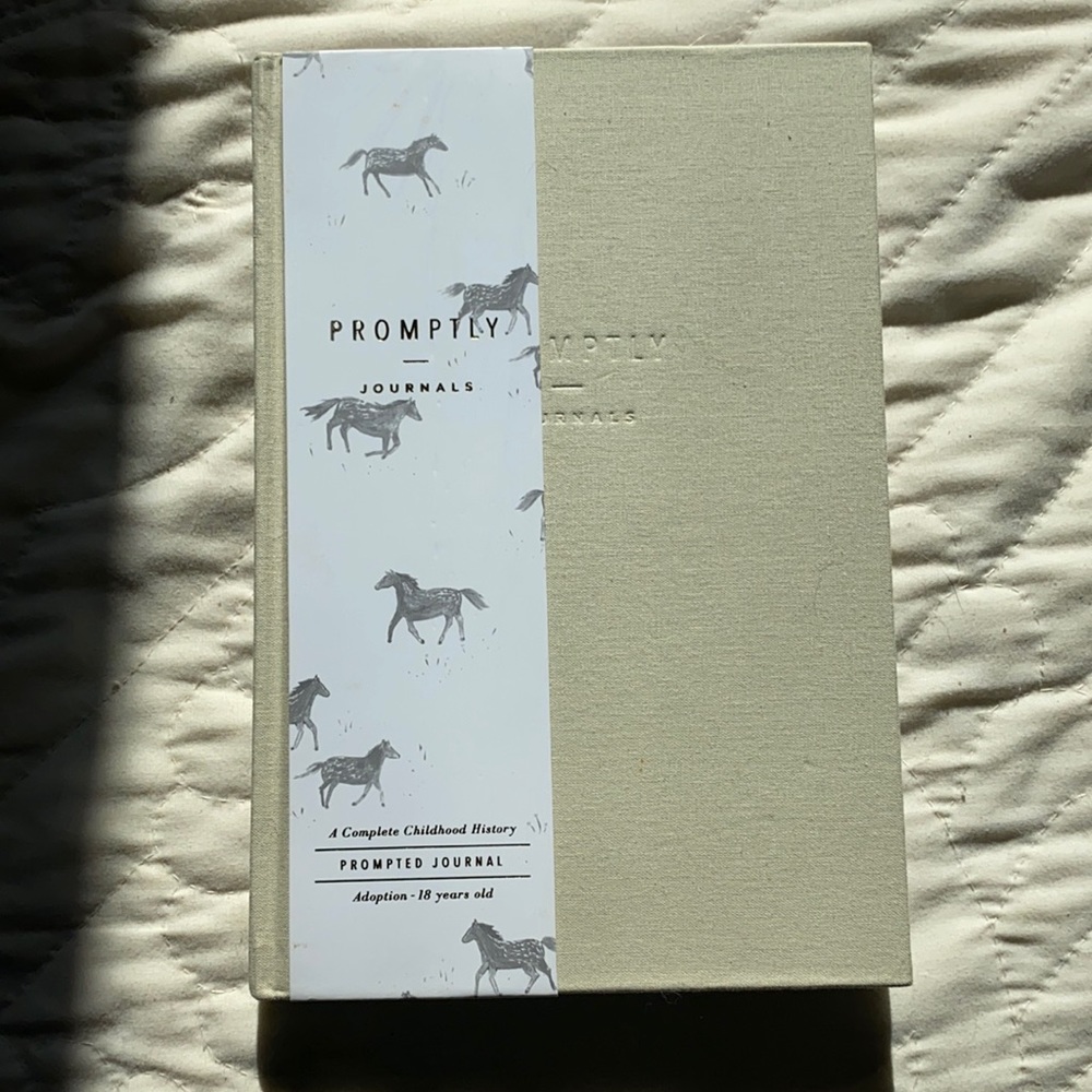 PROMPTLY Journal Complete Childhood History Adoption-18 Years